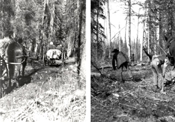 Clearing trails on the journey to the Peace River