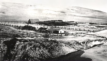 Wineglass Ranch North of Brocket Alberta 1894-1925