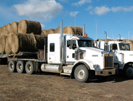 Since 2006, we haul our hay using bio-oil blends