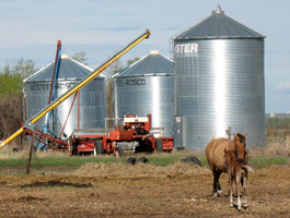 Fuel stored in bins ready for crushing