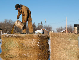 Pouring thicker canola oil on a bale of hay